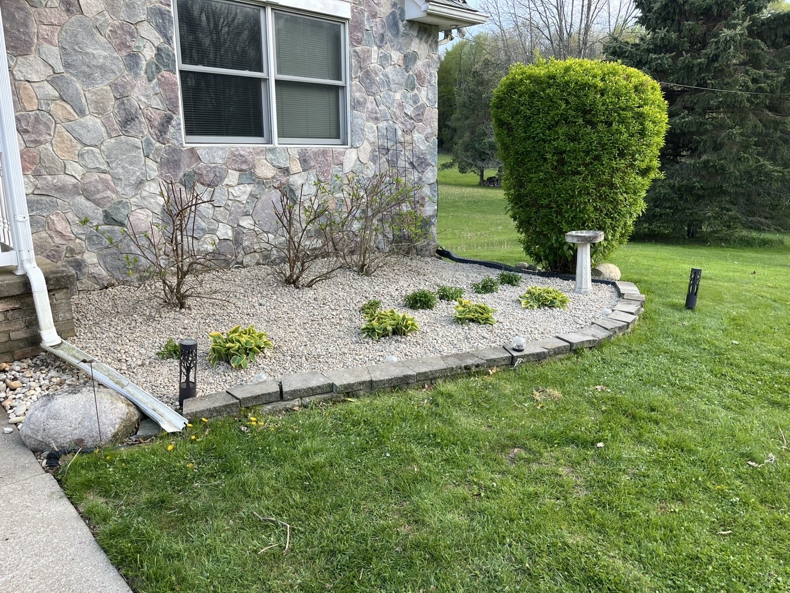 Stone-edged landscape bed with hostas, shrubs, and decorative gravel