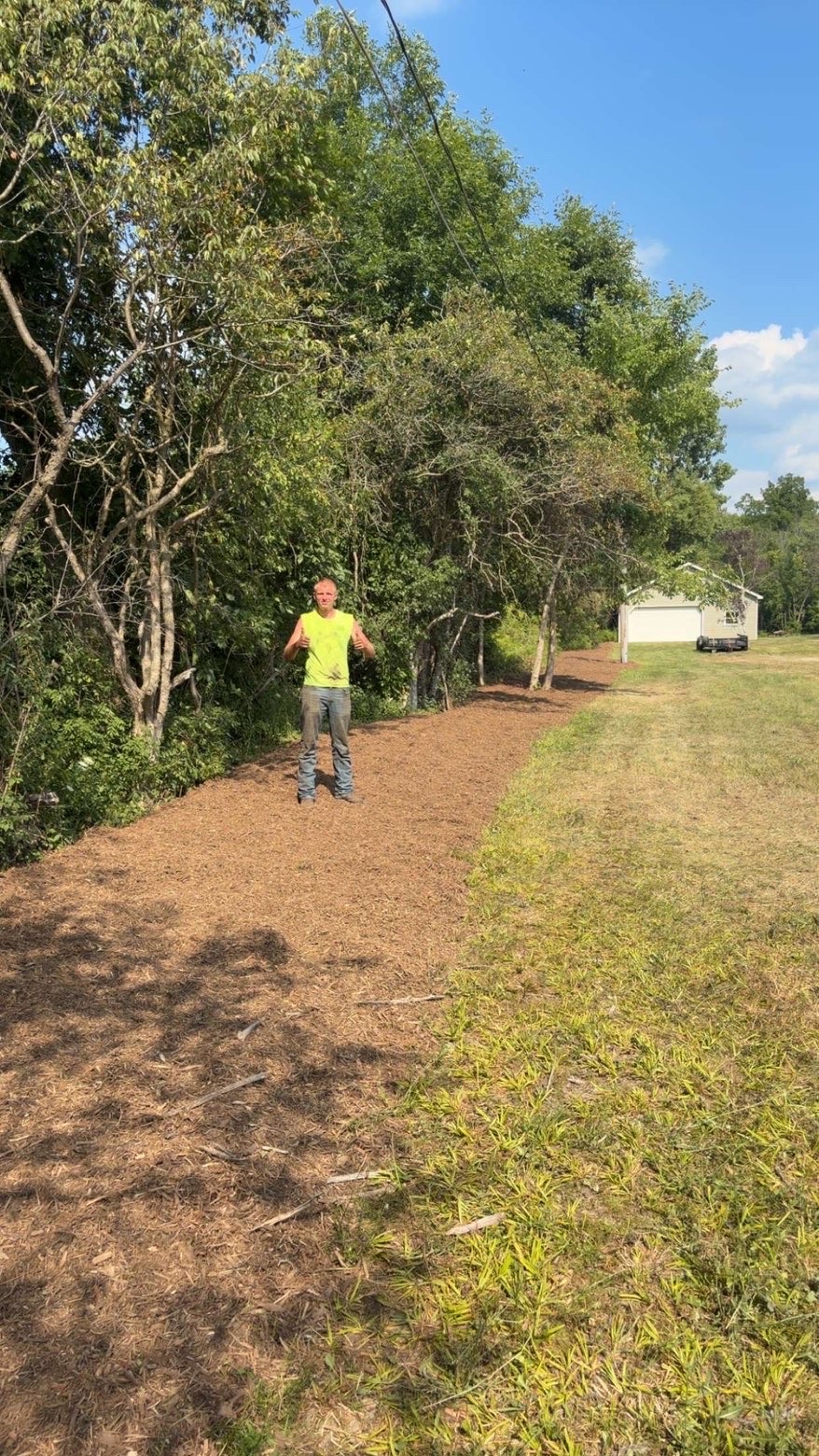 After: the tree line cleared out and a fresh mulch bed laid along the edge