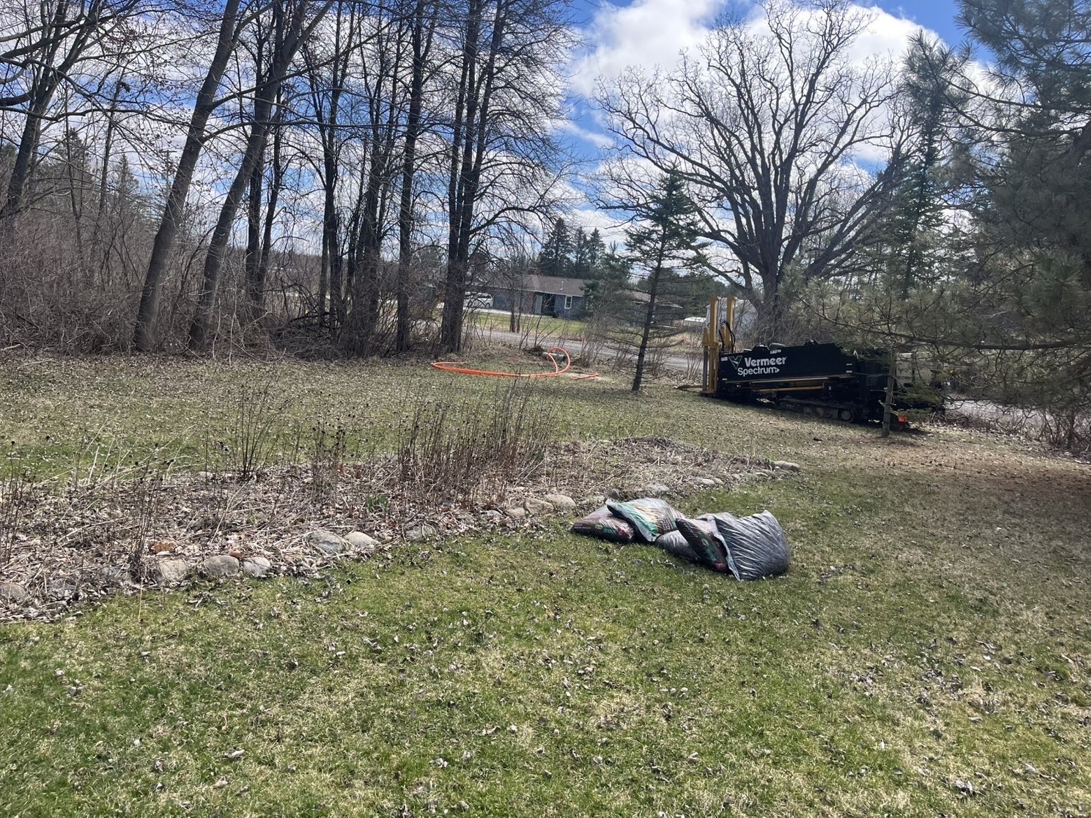 Before: overgrown yard with debris and brush needing cleanup
